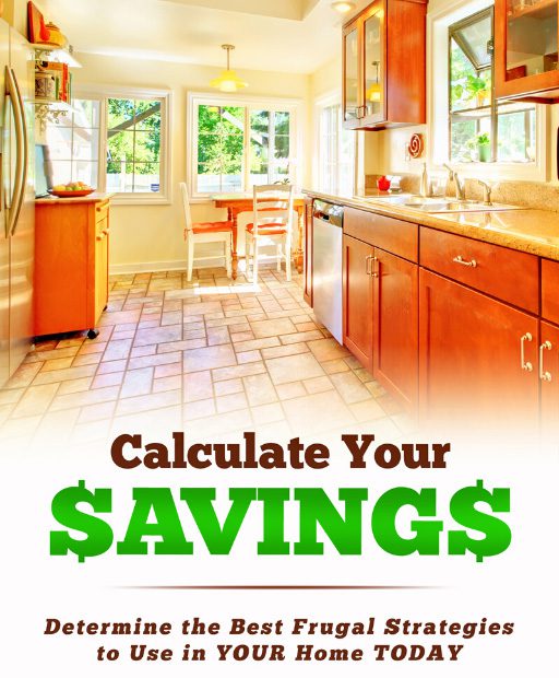 Image: Book cover of Calculate Your Savings - A book by Lizalyn Smith